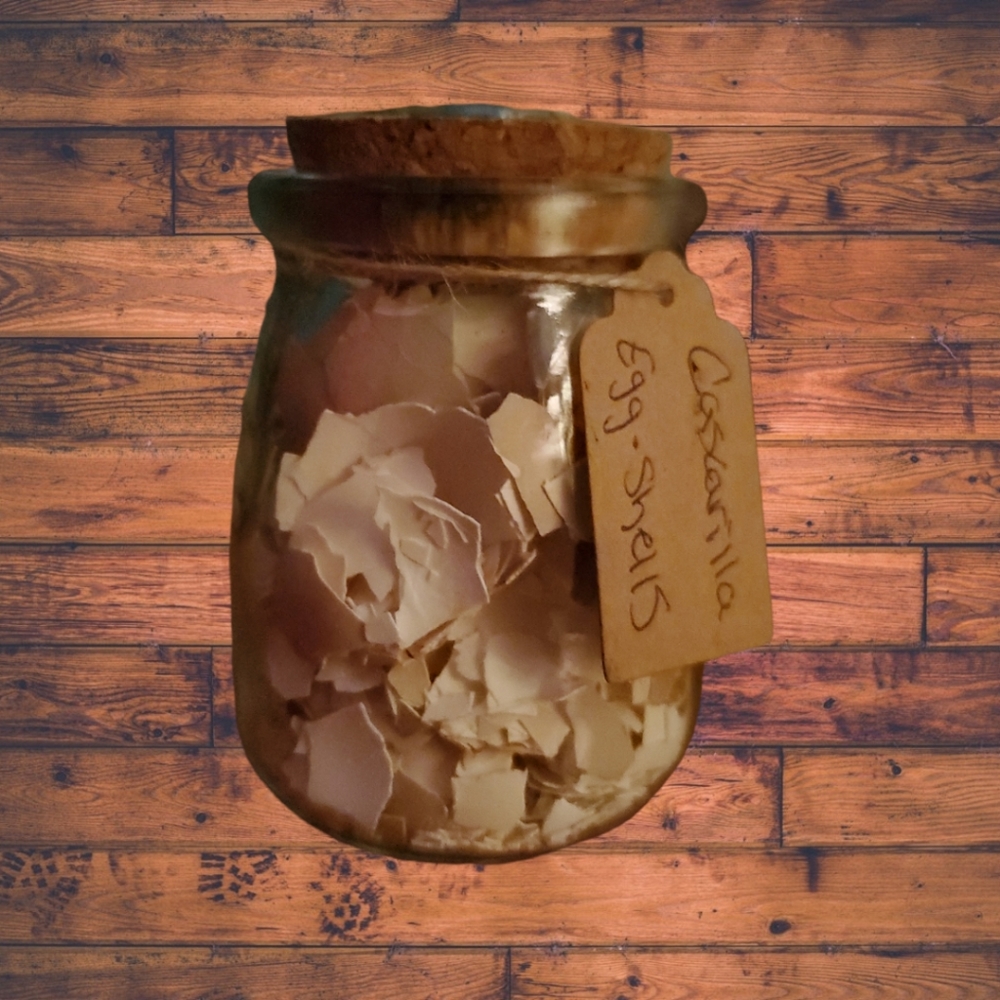 Egg Shells or Cascarilla for Protection Large Jar / Vial